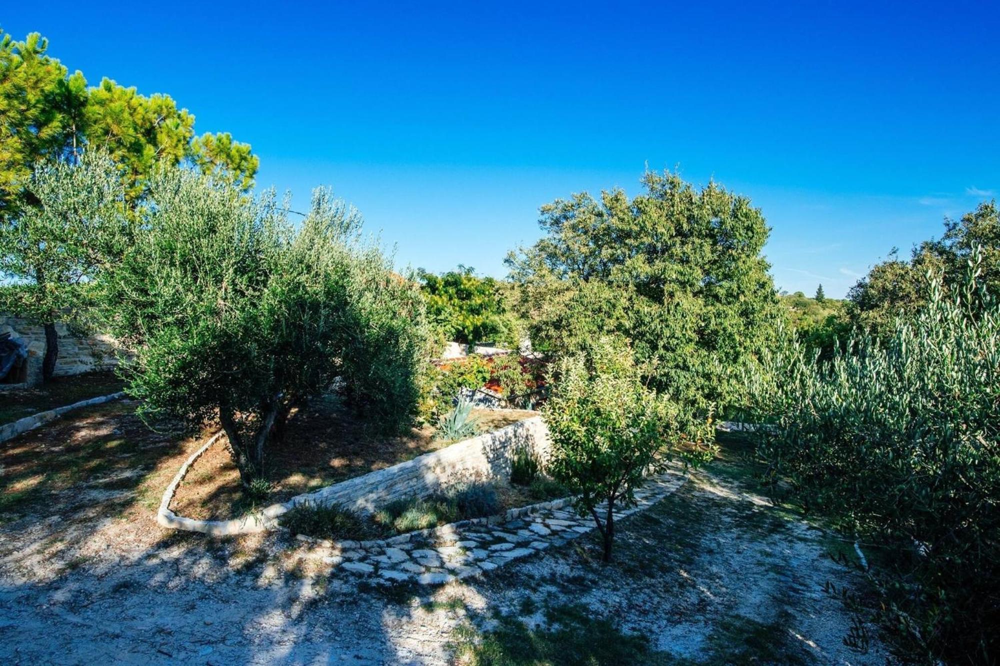 My Dalmatia - Holiday Home Korlat With Private Pool Бенковац Экстерьер фото